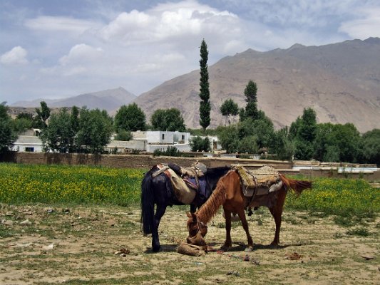 Iškašim (Afghánistán) (9)